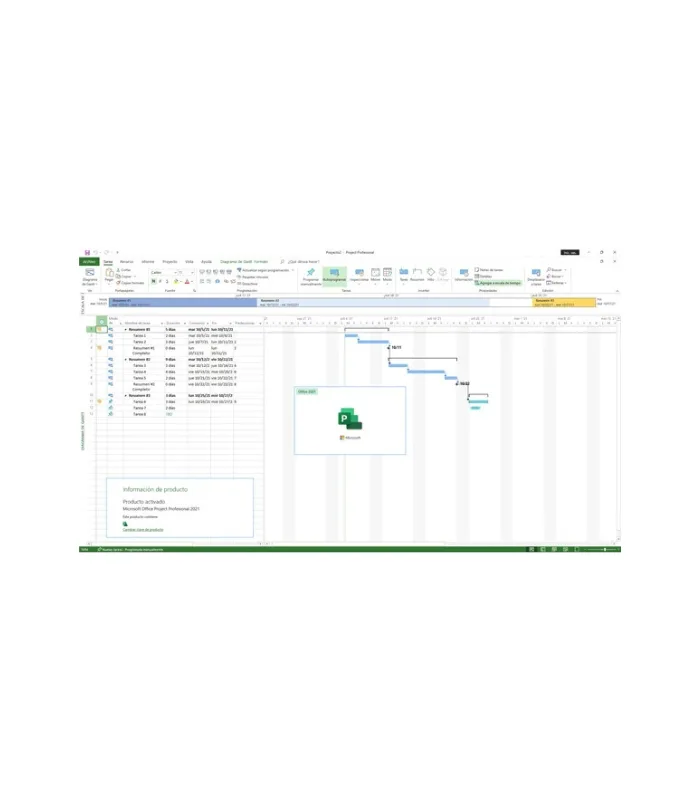 Microsoft Project Professional 2019 Product CD License Key
