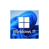 windows 11